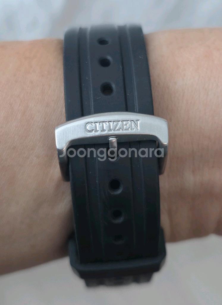 시티즌(CITIZEN) 프로마스터 다이버 태양광 에코--5