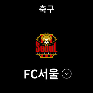 fc서울 vip 테이블석 2매