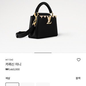 루이비통 카퓌신