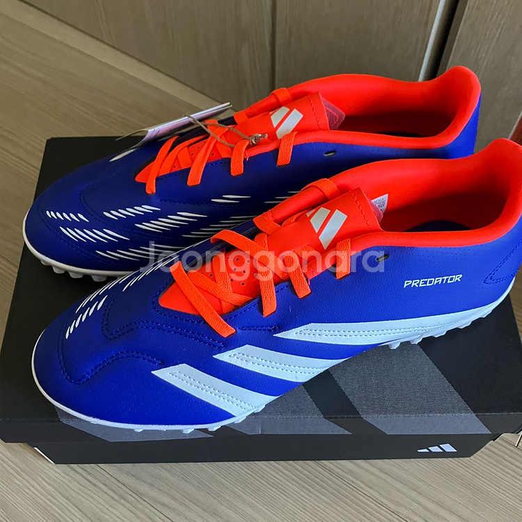 풋살화270 아디다스 프레데터 클럽--1