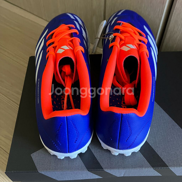 풋살화270 아디다스 프레데터 클럽--2