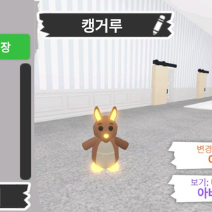 입양하세요 펫 현거 판매 네온 날타 캥거루