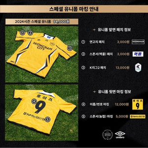 성남fc 35주년 스페셜 유니폼 구합니다