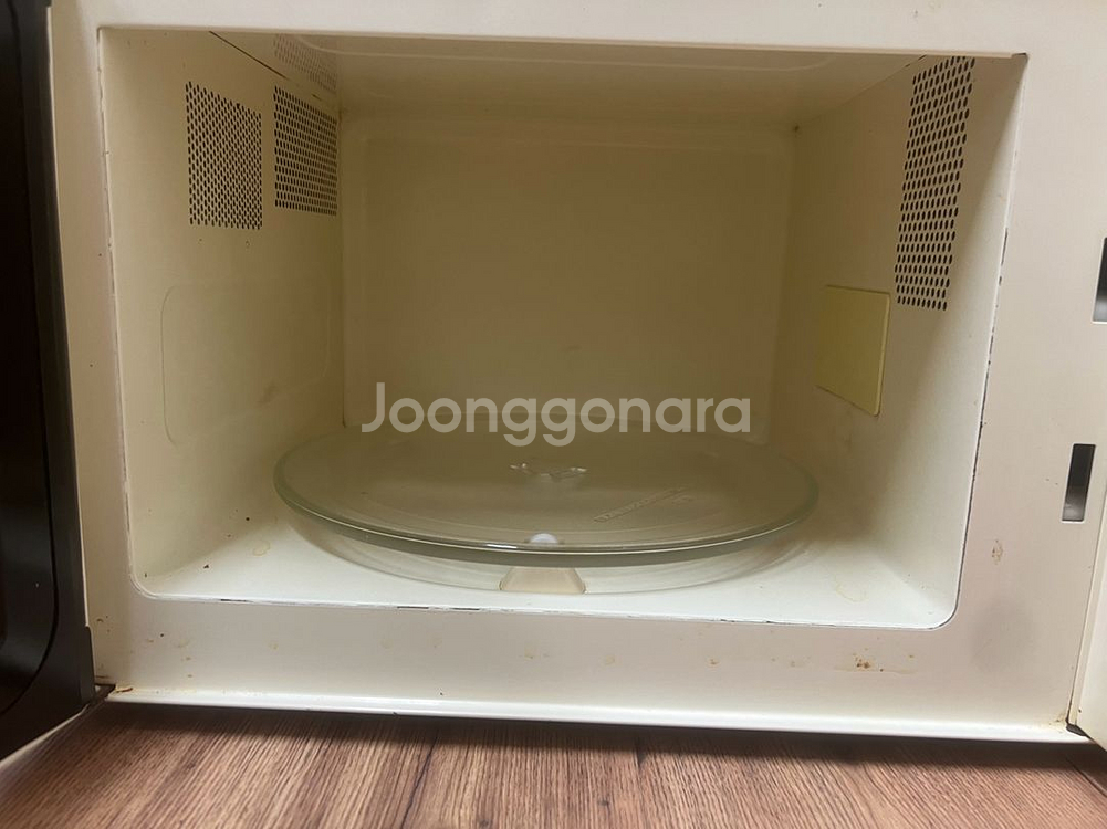 골드스타 네오 전자레인지--1