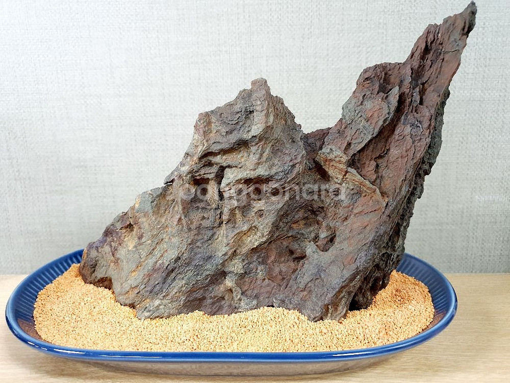 수석 돌 수반 덕산 초코석 변화석--0