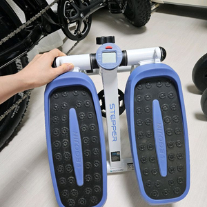 이고진스테퍼