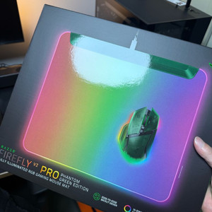 레이저 파이어플라이v2 pro 그린