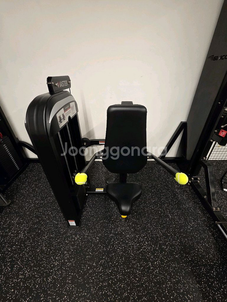 렉스코 딥스 A급 상차가능 헬스--0