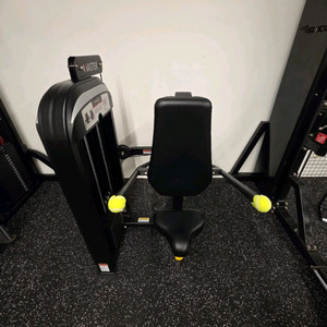 렉스코 딥스 A급 상차가능 헬스