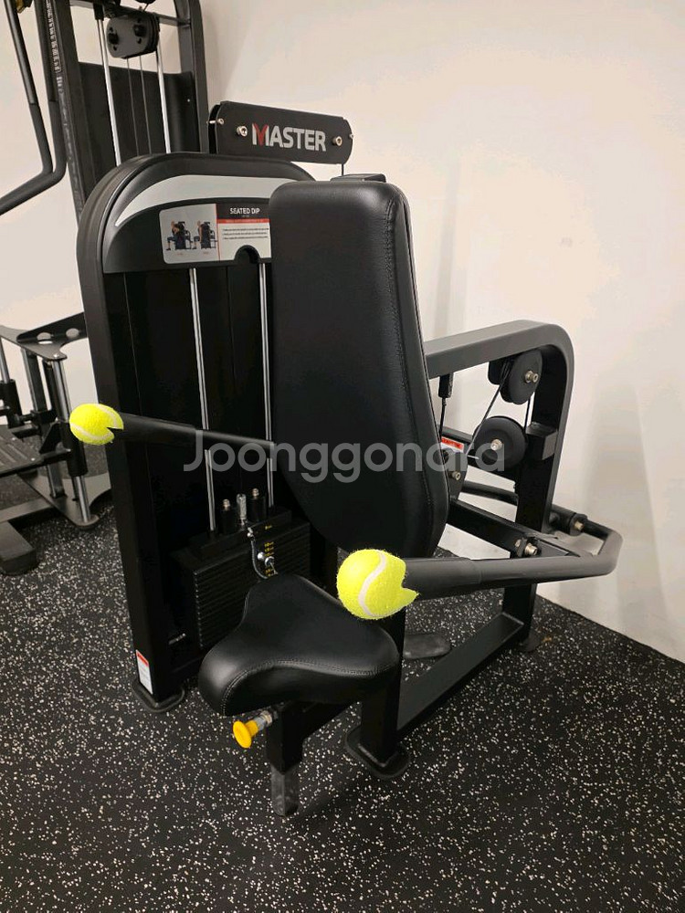 렉스코 딥스 A급 상차가능 헬스--1