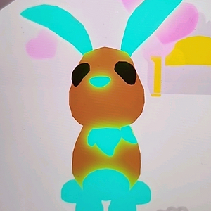 입양하세요 펫 산토끼