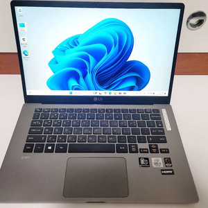 LG 그램 10세대 16g/1tb