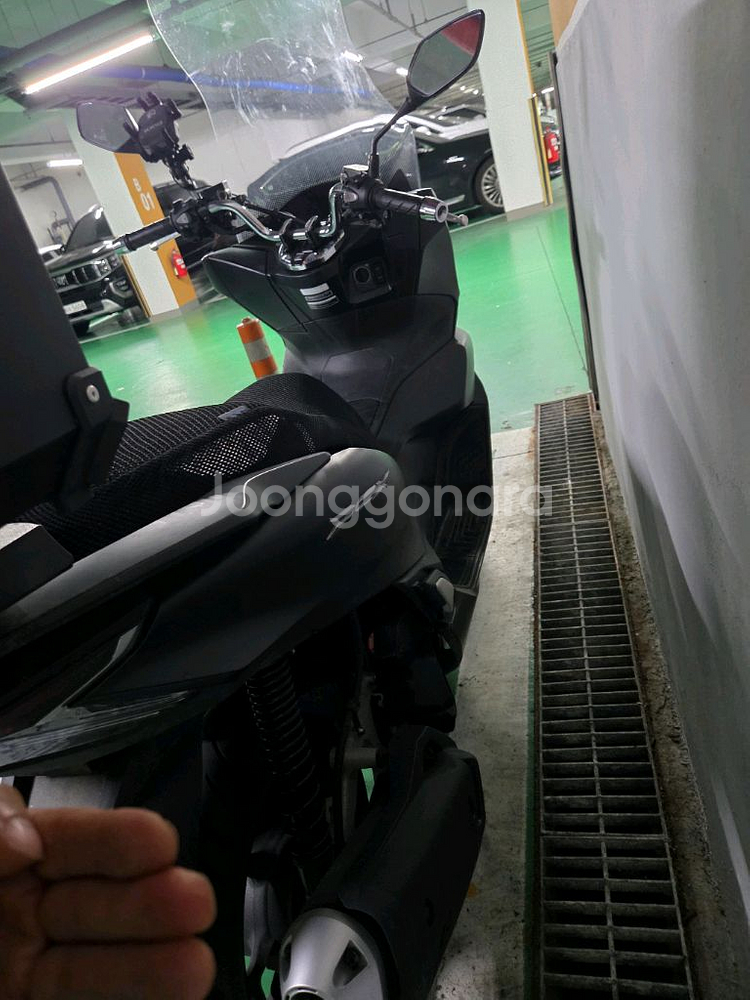2024 pcx 125cc--1