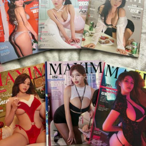 맥심 S타입(수련수련,묘정,이해인,비비앙,감동란)