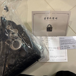 디올 레이디백 미니 블랙 실버체인