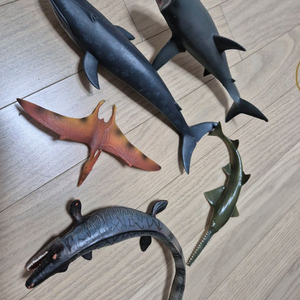 컬렉타 바다생물 공룡