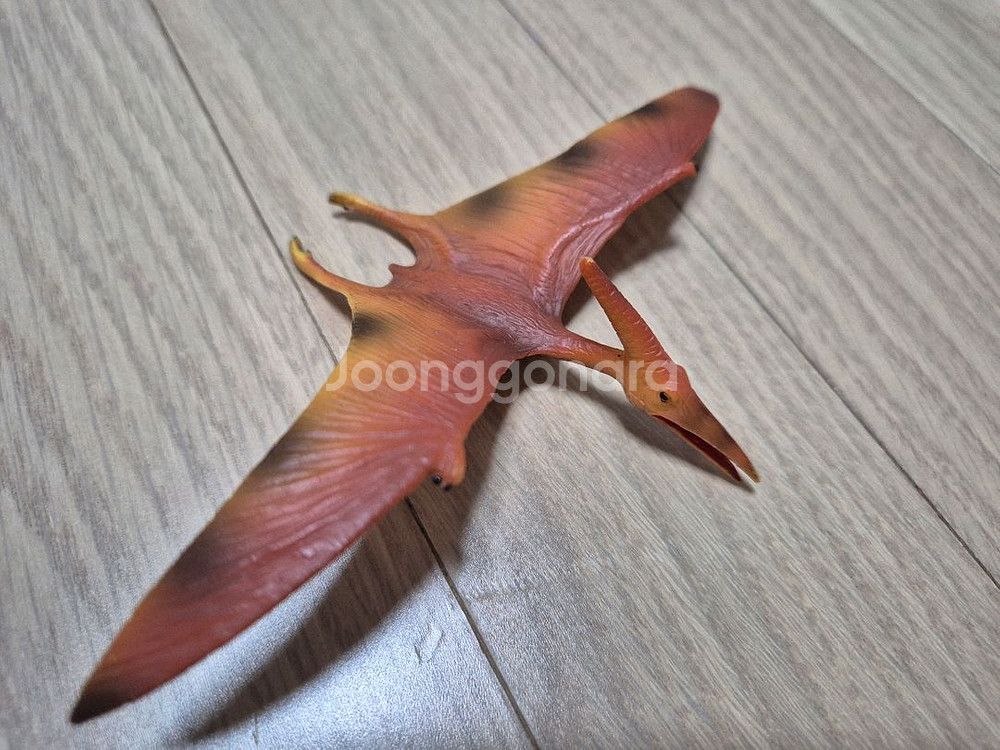 컬렉타 바다생물 공룡--5