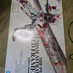 PG] 1/60 MBF-P02 Gundam Astray