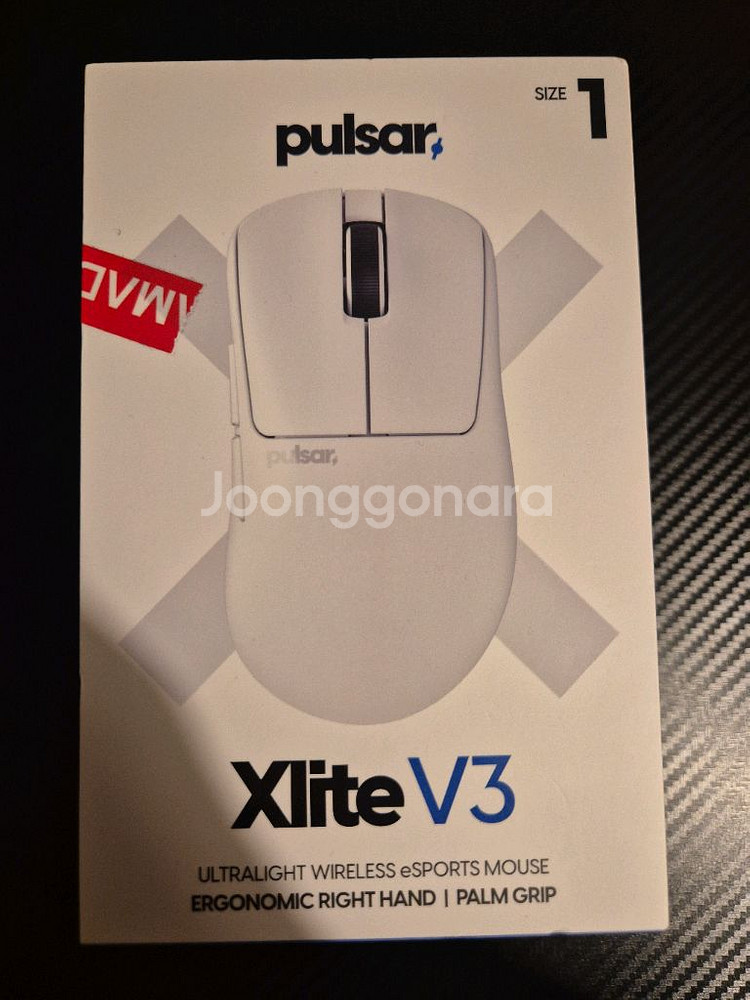펄사 xlite v3 mini(size1)--0