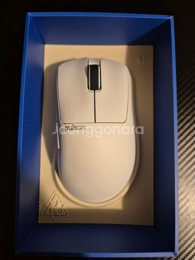 펄사 xlite v3 mini(size1)--1