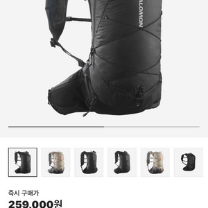 살로몬 XT 15 백팩 블랙 팝니다