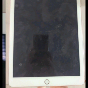 아이패드 프로 9.7