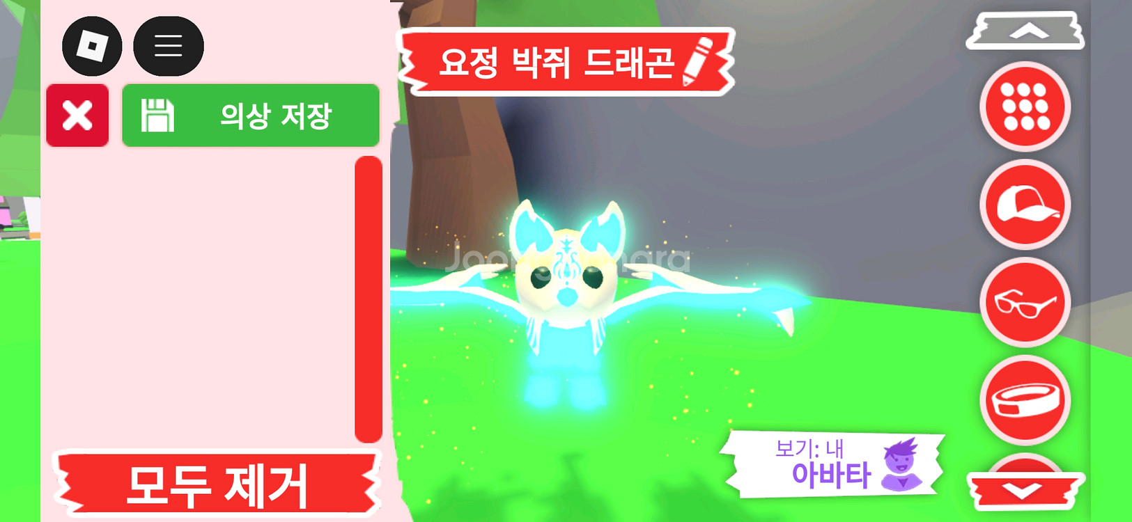 입양하세요 펫 메가 요정 박쥐 드래곤(메요박)판매합니다--0