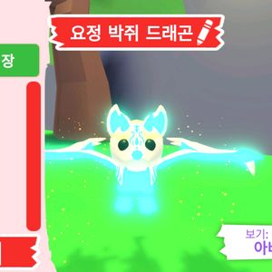 입양하세요 펫 메가 요정 박쥐 드래곤(메요박)판매합니다