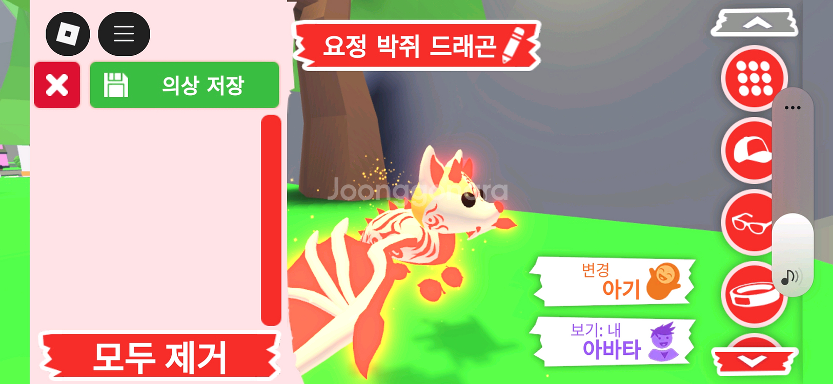 입양하세요 펫 메가 요정 박쥐 드래곤(메요박)판매합니다--1