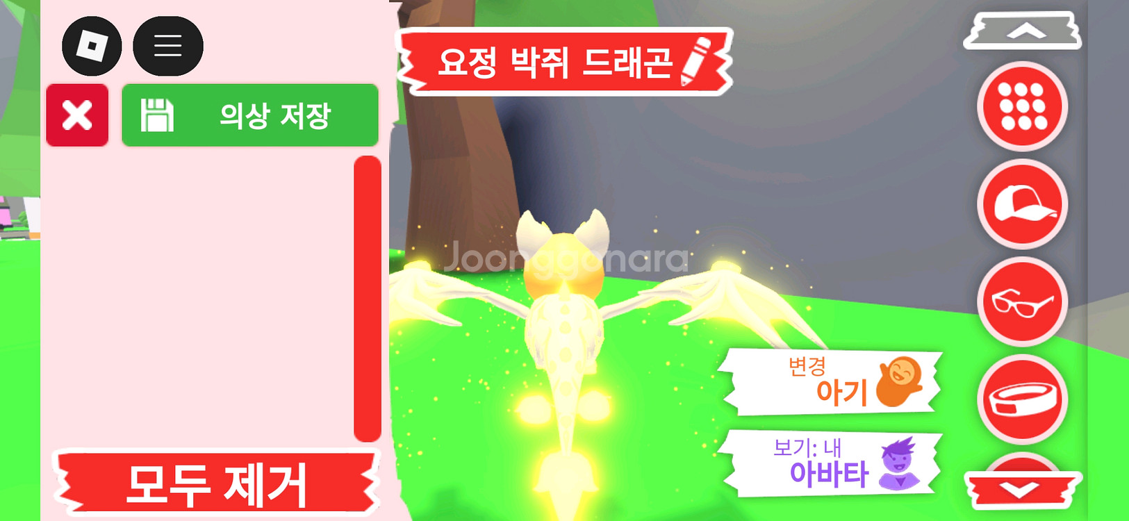 입양하세요 펫 메가 요정 박쥐 드래곤(메요박)판매합니다--3