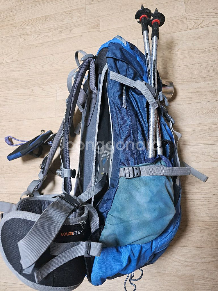 도이터 Futura Pro 38 등산배낭--4