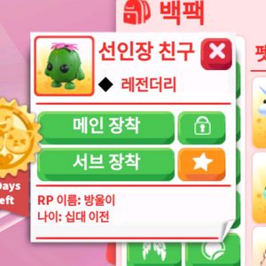 입양하세요 선인장친구