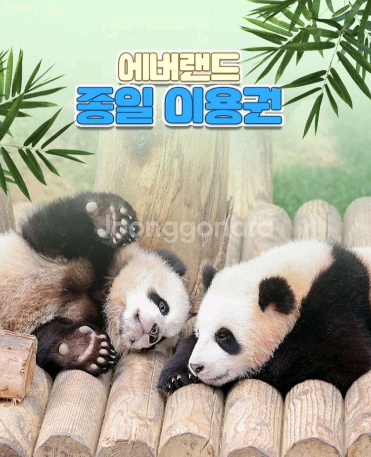 에버랜드 종일 자유이용권(모바일), 즉시사용 가능--2