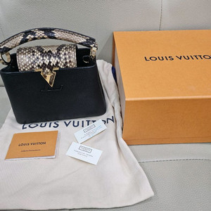 루이비통 카퓌신 미니 블랙 파이톤