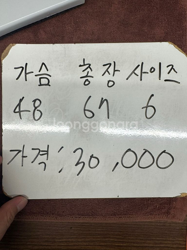 폴로 최신라벨 스트라이프 남방 여성 6사이즈--1