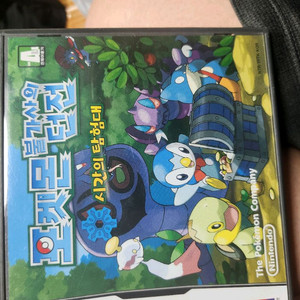 포켓몬 불가사의 던전 시간의 탐험대