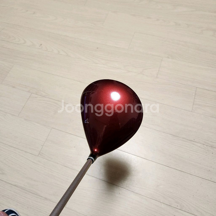 젝시오여성드라이버 MP1100K, L--2