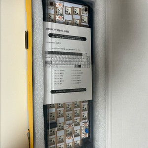 SPM AL66B 피콕블루 베어본