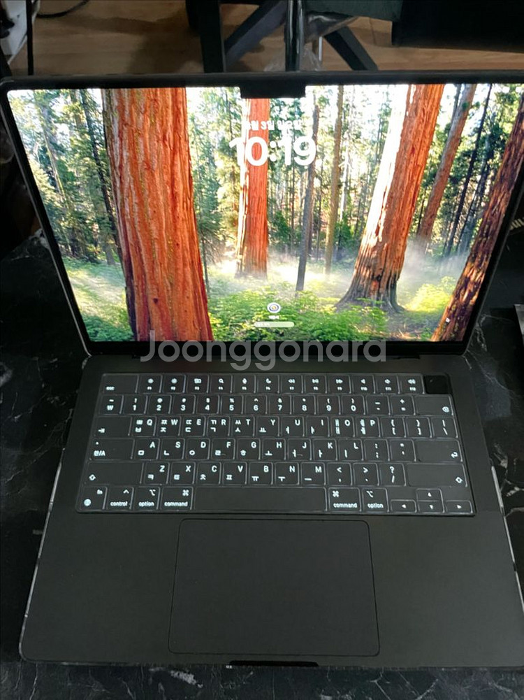 맥북 프로 m4 14 16gb 1tb--1