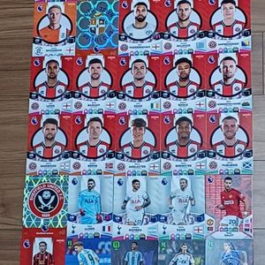 파니니 카드 38장 (EPL / 월드컵)(일괄)