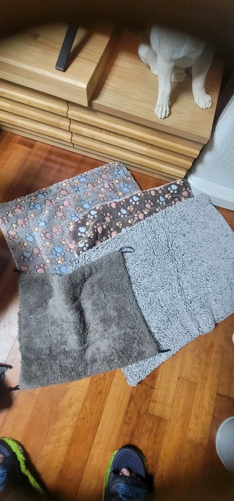 고양이 .강아지용품 이미지