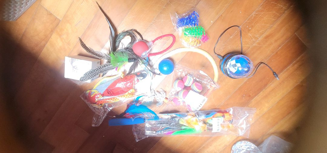 고양이 .강아지용품 이미지