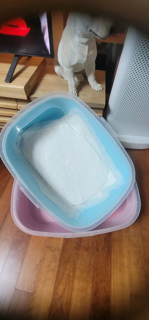 고양이 .강아지용품 이미지