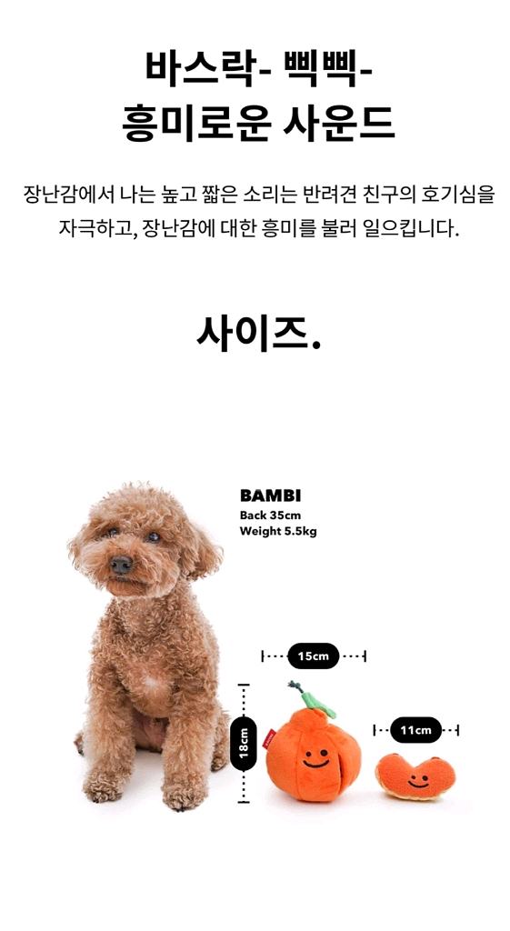 베이컨 한라봉 노즈워크 토이--3