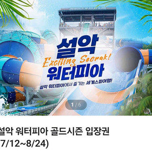 설악 워터피아 주간권 대인