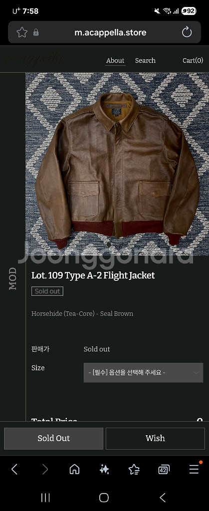 아카펠라클로딩 a2(말가죽) 42사이즈--4