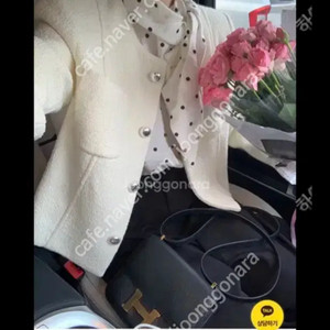바이씨니 플레인트위드 아이