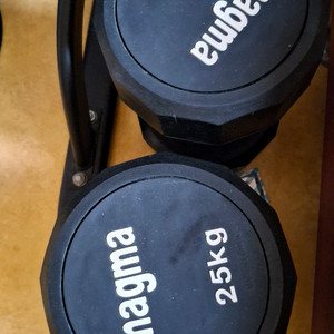 덤벨 25kg 한쌍