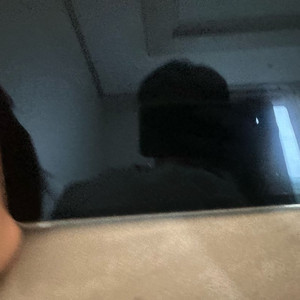 아이패드 프로11 M4 256기가
