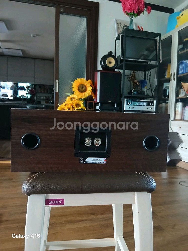 파인오디오F300C센터스피커판매--1